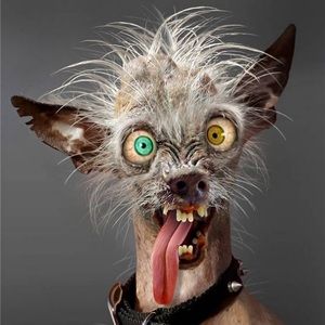 Meet your Posher, William